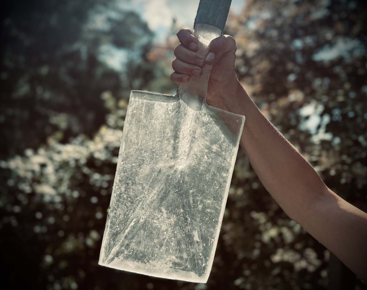 Sylvia Neiglick