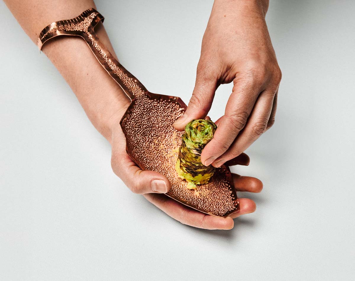 Kate Murphy X Seafood Gastro